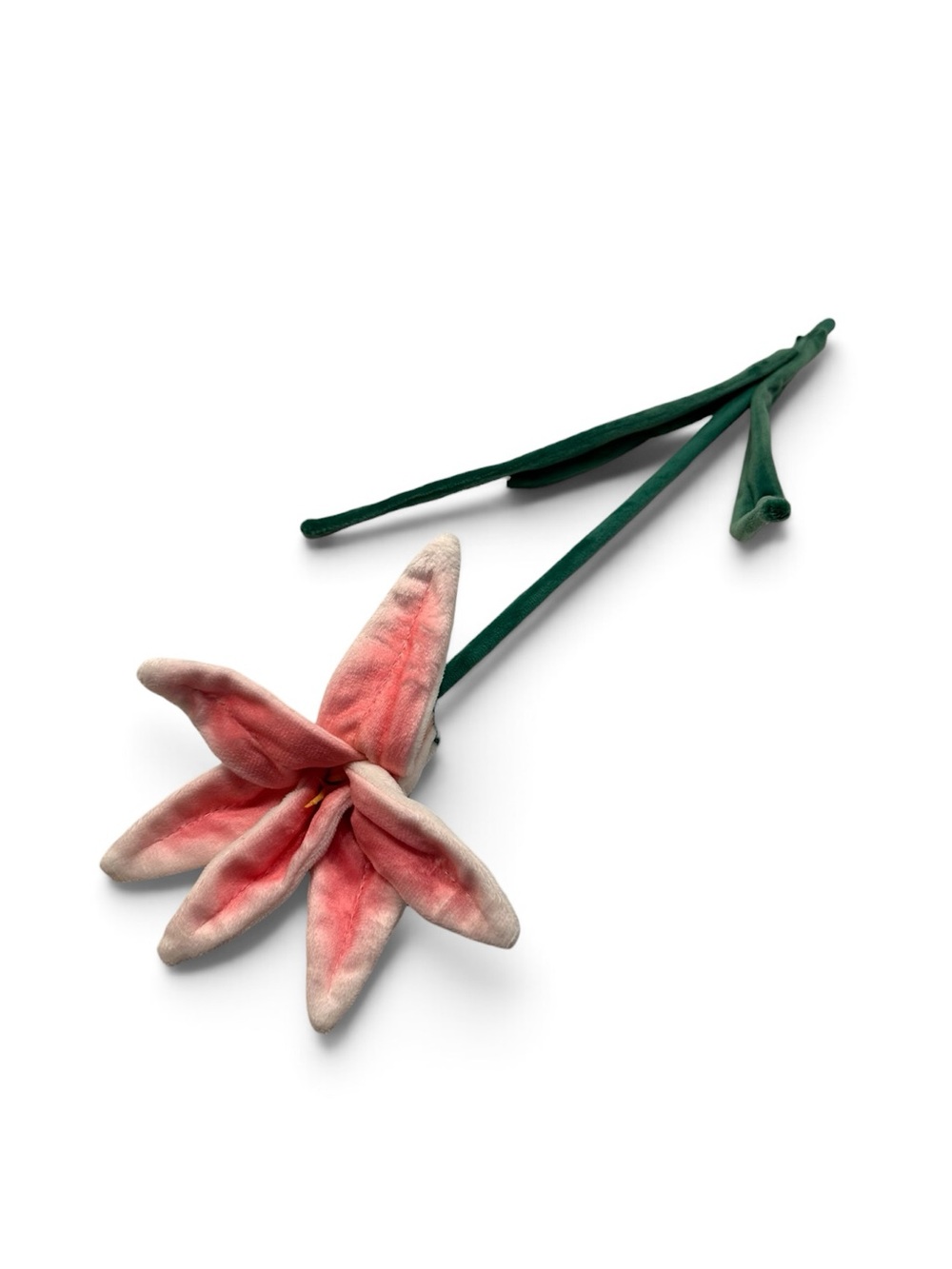 CJ Hendry Flower Market Lily